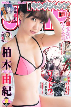 电视剧风筝全集观看